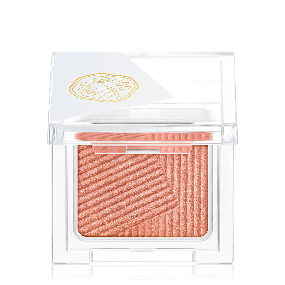 【新品未使用・限定品】資生堂オーラデュウプリズムイルミネーターピコ全10色セット SHISEIDO / オーラデュウ プリズム イルミネーター ピコの公式