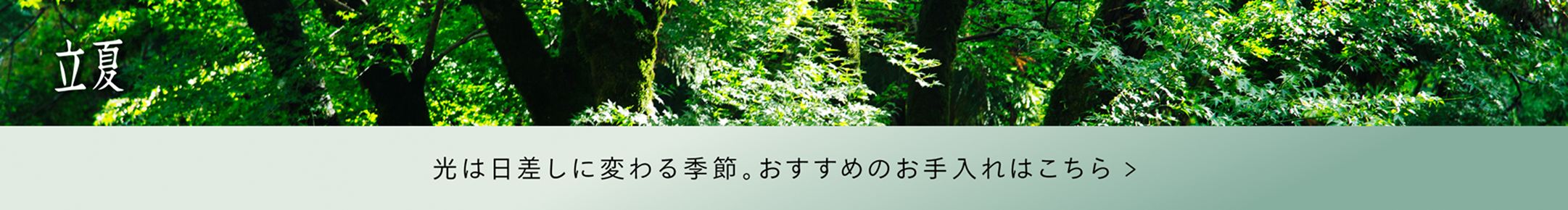 光は日差しに変わる季節。おすすめのお手入れはこちら