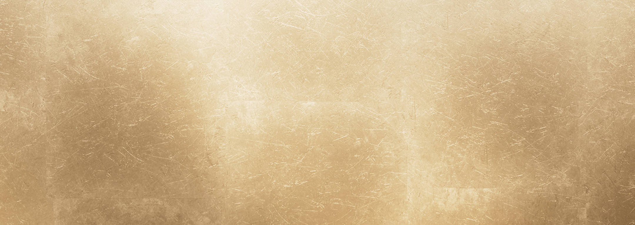 SHISEIDO FUTURE SOLUTION LX