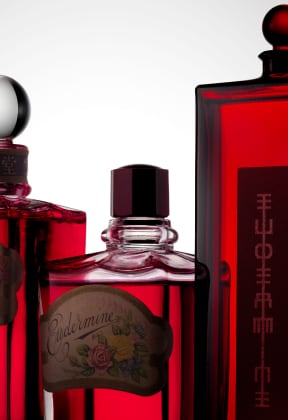 SHISEIDO STORY OF RED スペシャルサイト公開
