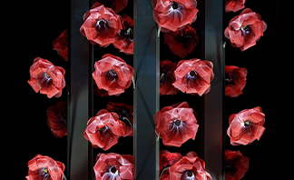 SHISEIDO GINZA ART PROJECT [ART OF CAMELLIA] | SHISEIDO | 資生堂