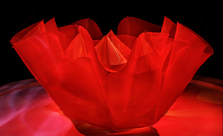 SHISEIDO GINZA ART PROJECT [ART OF CAMELLIA] | SHISEIDO | 資生堂