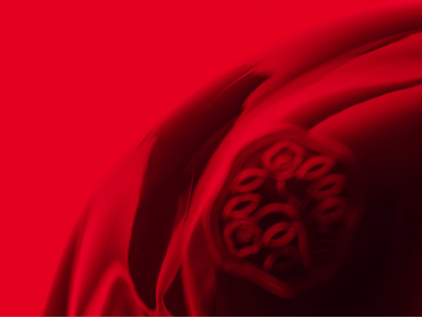 SHISEIDO STORY OF RED スペシャルサイト公開