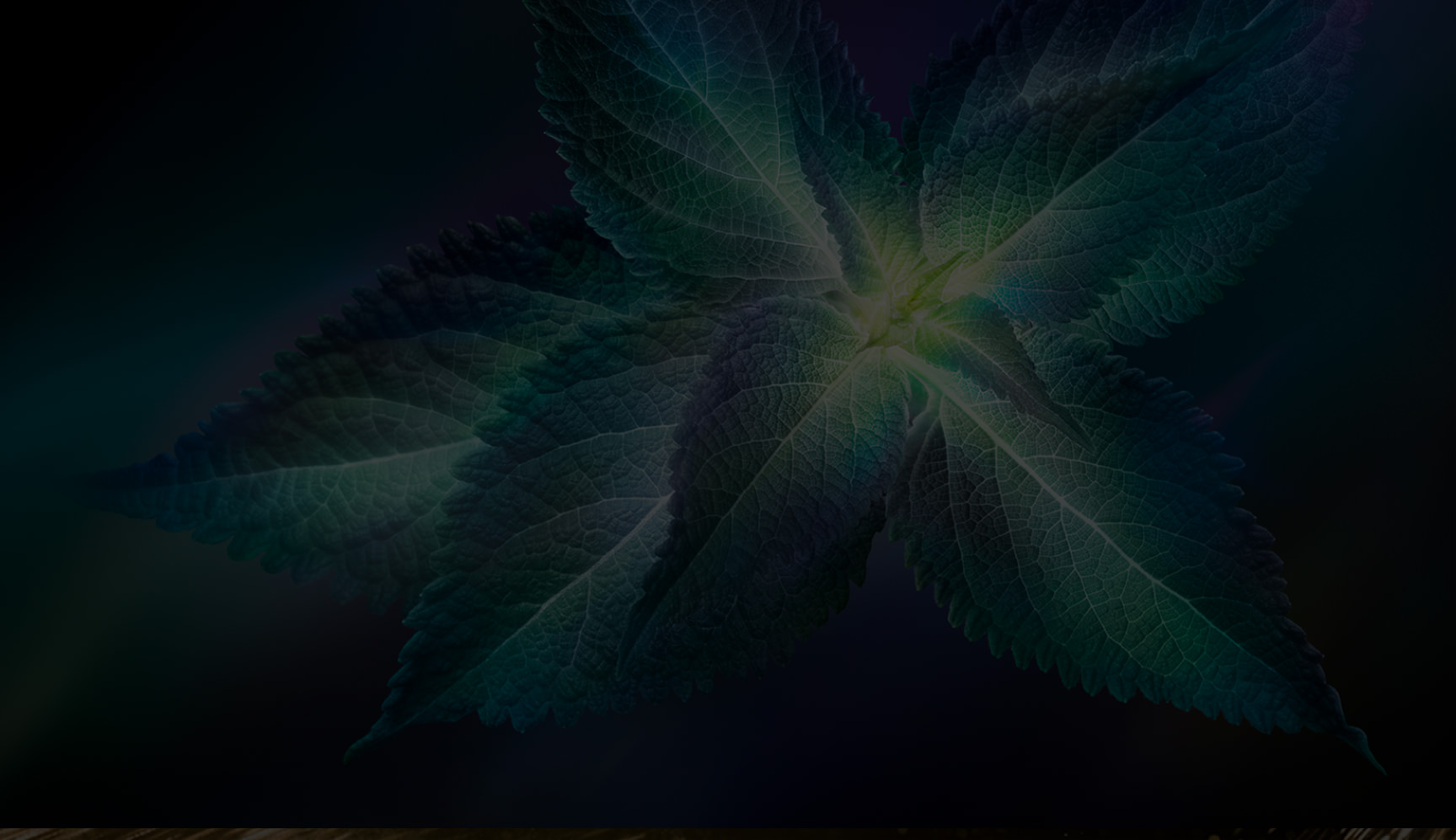 technology background image