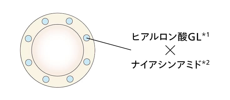 ヒアルロン酸GL＊1ナイアシンアミド＊2