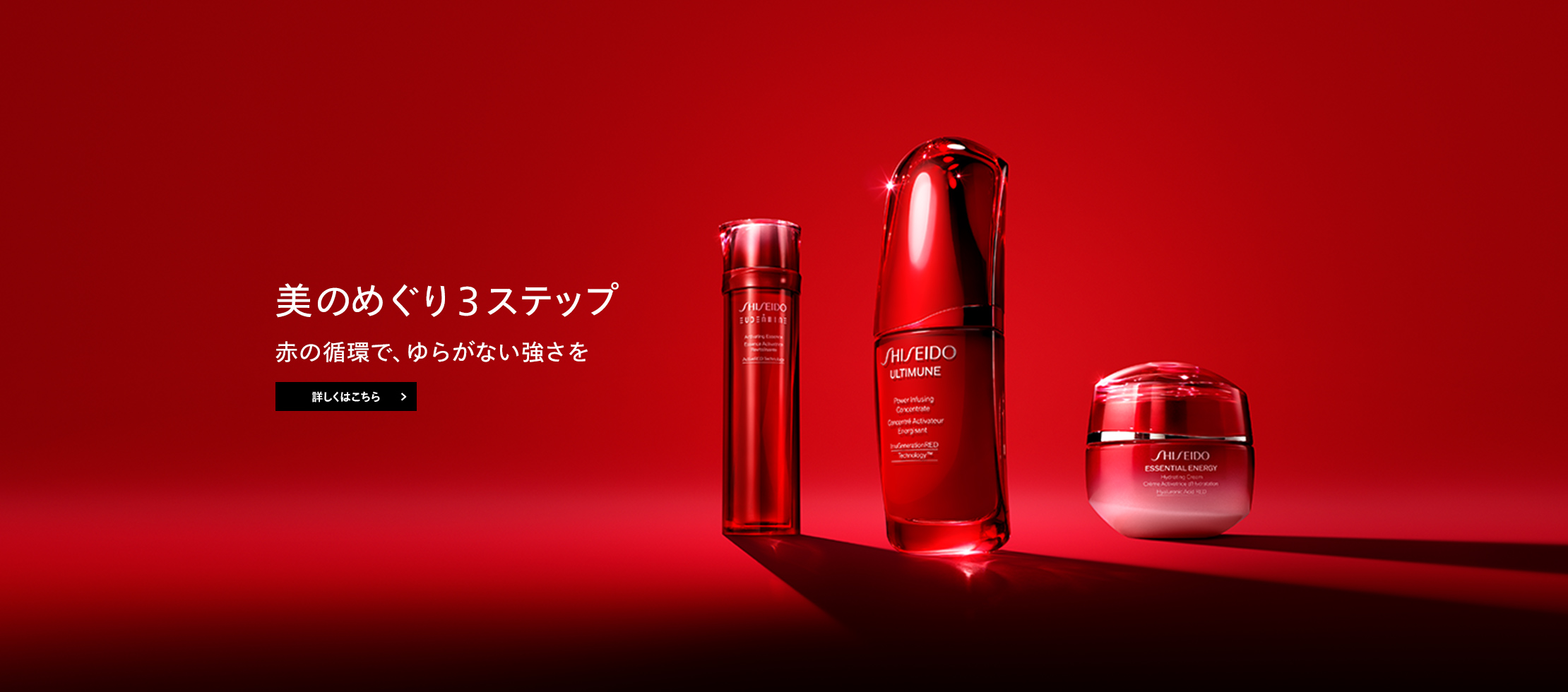 SHISEIDO